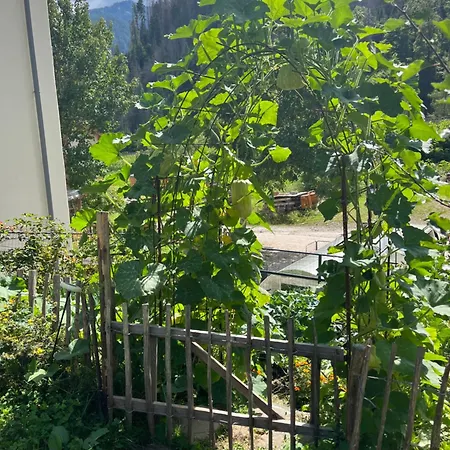 Casa Alice Tatil Evi