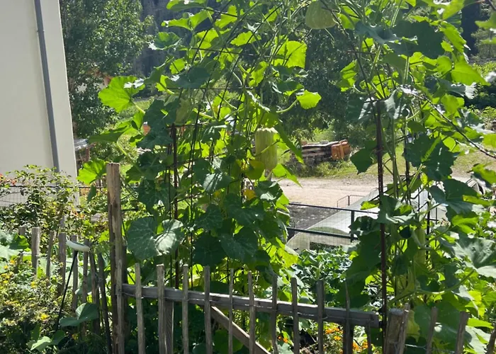 Casa Alice Tatil Evi